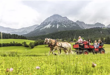 A carriage with passengers is driving through a green meadow. In the background, there are high mountains and a cloudy sky.