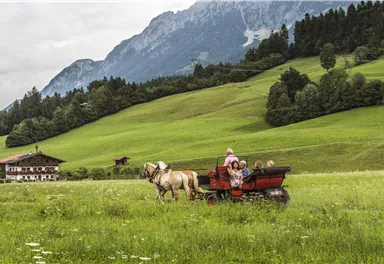 Ellmau_Kutschenfahrt Sommer 3_Wilder Kaiser