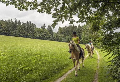 Ellmau_Reiten_Wilder Kaiser
