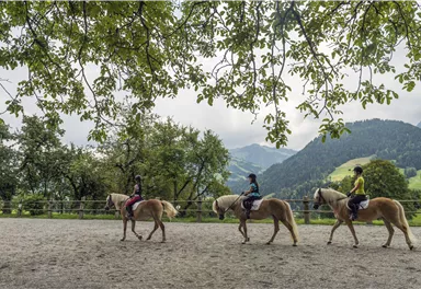 Ellmau_Reittraining