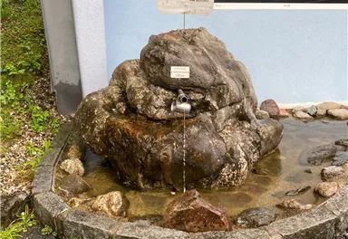 Ellmau_Trinkwasser-Brunnen_Sauwinklbrunnen_Wilder Kaiser