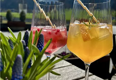 Two refreshing cocktails are on a wooden table, surrounded by blooming plants. In the background, green hills and a blue sky can be seen.