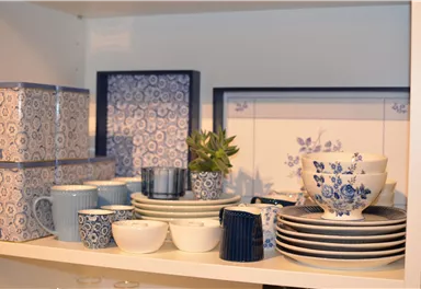 A selection of blue and white dishes and cups is on a shelf. Next to it are decorative boxes and a small plant.