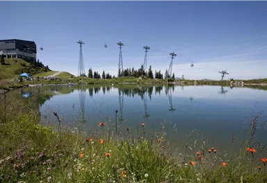 A clear lake surrounded by green meadows and colorful flowers. In the background, ski lifts and a mountain hut are visible.