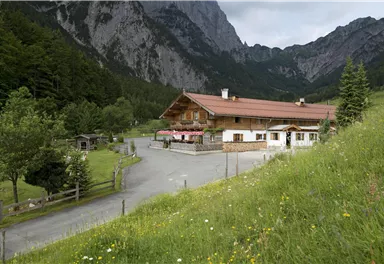 Ein gemütliches Haus in den Bergen, umgeben von grünen Wiesen und hohen Bäumen. Im Hintergrund sind majestätische Berge zu sehen.
