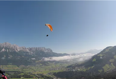 G0038138
