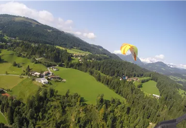 Ein wunderschöner Blick auf grüne Hügel und Wälder. Ein Paraglider schwebt über der Landschaft.