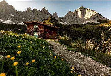 A cozy cabin stands before impressive mountains. The path to the cabin is surrounded by green grass and colorful flowers.