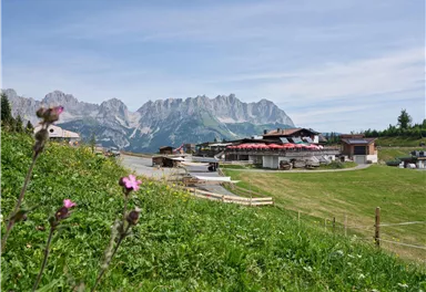Going_Blattlalm_Sommer_Wilder Kaiser