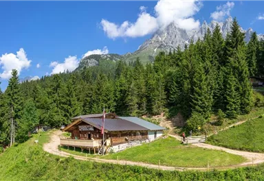 Going_Graspoint Niederalm_Sommer_Wilder Kaiser (3)
