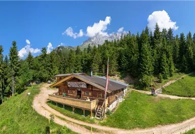 Going_Graspoint Niederalm_Sommer_Wilder Kaiser