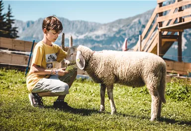 Ein Junge füttert ein Schaf auf einer Wiese. Im Hintergrund sind Berge und eine Holzstruktur zu erkennen.