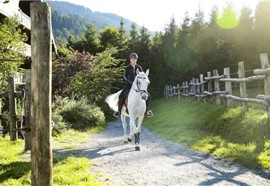 A person is riding a white horse on a narrow path. Surrounded by green trees and a sunny, clear sky.
