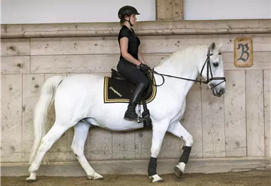 A rider is sitting on a white horse in a horse arena. The surroundings are wooden and the floor is covered with sand.