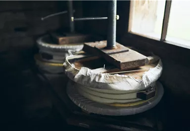 Two cheese presses in a dark room next to a window. The devices are made of wood and metal, with a white cloth around the cheese molds.