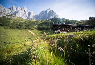 An alpine landscape with accommodation near green meadows. In the background, majestic mountains rise under a clear sky.