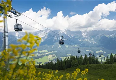 Eine Landschaft mit Berggondeln, die über grüne Wiesen fahren. Im Hintergrund sind beeindruckende Berge und ein blauer Himmel mit Wolken zu sehen.