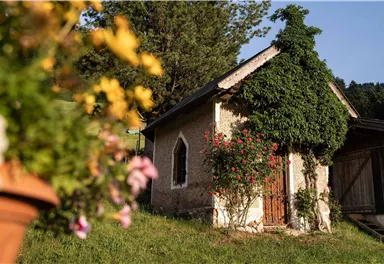 Ein idyllisches, kleines Haus umgeben von grünen Bäumen und Blumen. Es zeigt eine charmante, rustikale Architektur.