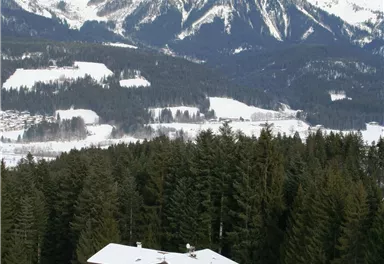 Ein gemütliches Holzhaus liegt im schneebedeckten Gelände, umgeben von Tannenbäumen. Im Hintergrund erheben sich majestätische Berge unter einem grauen Himmel.