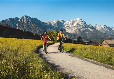 hd-Fruehling-Ebike-ScheffauSoell©mathaeusgartner