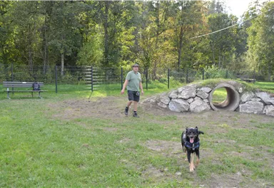 Ein Mann geht in einem Hundepark. Ein Hund läuft fröhlich auf ihn zu.