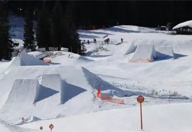 Eine Snowboard-Piste mit mehreren Schneehügeln und Sprüngen. Die Umgebung ist von Bäumen umgeben und der Himmel ist klar.
