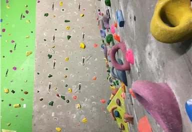 A colorful climbing wall with various holds in shapes and colors. In the background, there is a green wall with additional climbing holds.
