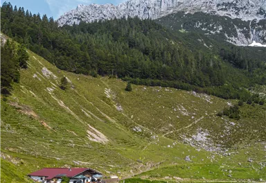 Kaiseralm_Scheffau_Stefan Leitner