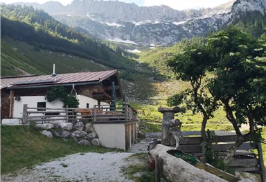 Kaiseralm_Scheffau_TVB Wilder Kaiser