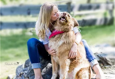 A woman is sitting on a rock and hugging a happy dog. Both radiate joy and affection, surrounded by a green meadow.