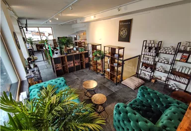 Ein gemütliches Café mit grünen Sofas und Pflanzen. Regale mit verschiedenen Produkten sind sichtbar.