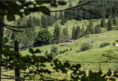 Eine malerische Landschaft mit grünen Wiesen und Wald. Im Hintergrund ist ein einzigartiges Holzhaus sichtbar.