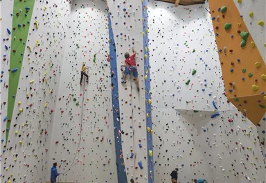 A climbing gym with various climbing walls and several climbers. The walls are colorful and the environment is well-lit.