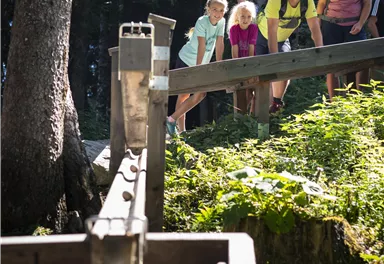 Eine Gruppe von Wanderern steht an einem Holzsteg in einem Wald. Die Umgebung ist grün und sonnig, mit Bäumen im Hintergrund.