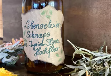 Lebenselexier