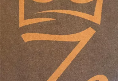 A stylized logo featuring the letter "Z" with a crown above it. The design is in a warm gold tone on a brown background.