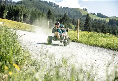 Mountaincart - St. Johann