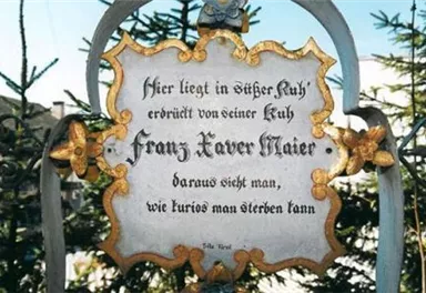 Ein historisches Schild auf einem Grabstein mit dem Namen Franz Xaver Maier. Es enthält eine Inschrift, die auf sein Leben und den Tod hinweist.