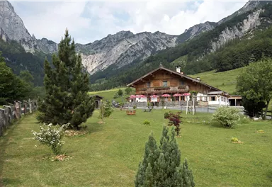 Ein malerisches Chalet in einer grünen Landschaft, umgeben von Bergen. Der Garten ist gepflegt und lädt zum Entspannen ein.