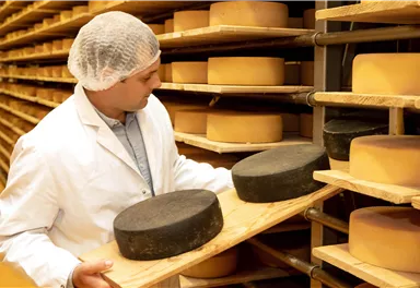 A cheese maker in protective clothing is working on cheese wheels in a storage area. In the background, many cheese wheels are neatly arranged.