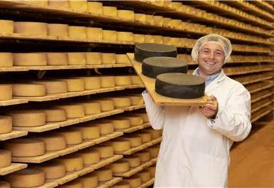 A cheese maker stands in a cheese factory holding three round cheese wheels on a board. In the background, many cheese wheels are visible on shelves.