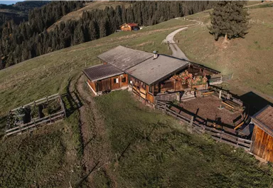 Ranhart Alm (2)