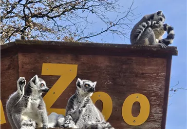 Raritätenzoo Ebbs 3
