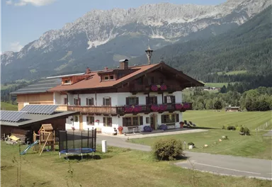 Ein traditionelles alpines Haus mit blühenden Balkonpflanzen. Im Hintergrund erstrecken sich majestätische Berge und eine grüne Wiese.