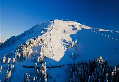 Ein schneebedeckter Berg mit prächtigen Bäumen und klarem Himmel. Skilifte sind in der oberen Bildhälfte zu sehen.