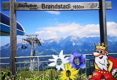 Scheffau Brandstadl Bergstation Panaorama