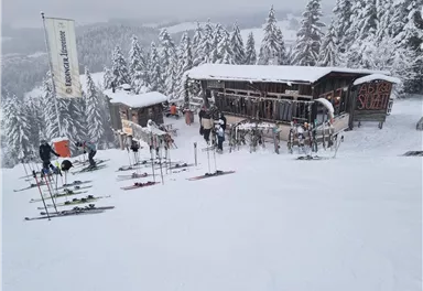 A snow-covered landscape with a ski hut and many skis that are parked. In the background, there are tall, snow-covered trees.