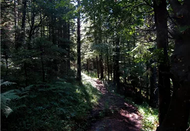 3-Tage HW - Etappe 3 - Jagersteig
