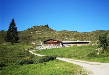 Scheffau_Kafma Alm_Sommer_Herbst