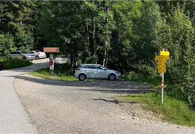 A winding path in a forested area with many trees. A white car is parked next to a signpost with yellow markings.